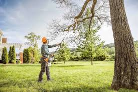 Best Soil Testing and Treatment  in High Bridge, NJ